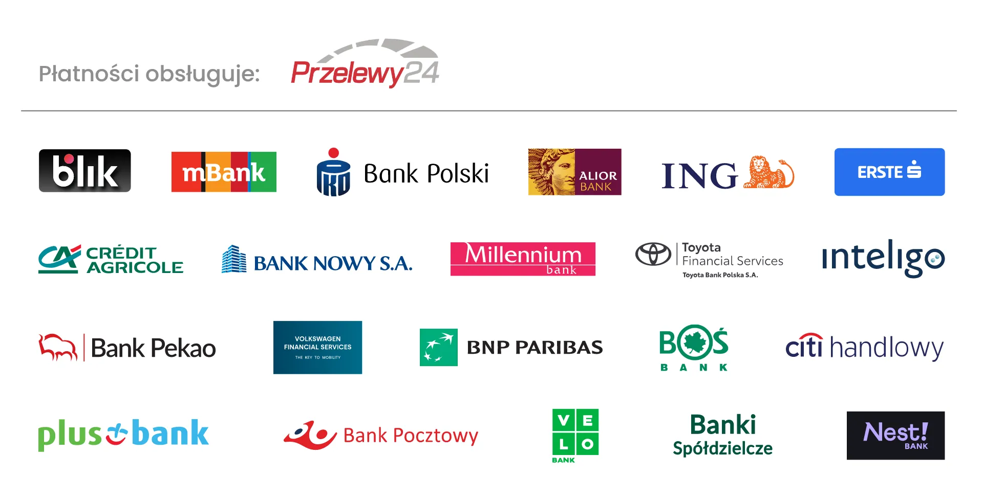 Płatności obsługuje Przelewy24: BLIK i szybkie przelewy bankowe